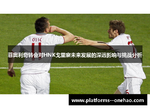 菲奥利奇转会对HNK戈里察未来发展的深远影响与挑战分析