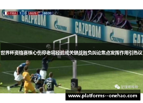 世界杯资格赛核心伤停老将经验成关键战胜负舆论焦点发挥作用引热议