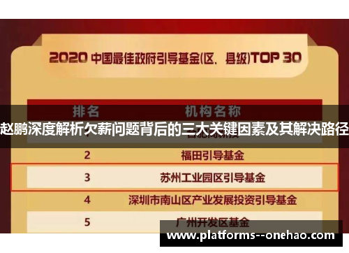 赵鹏深度解析欠薪问题背后的三大关键因素及其解决路径